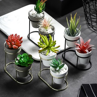 Chậu sen đá, chậu cây hai tầng để bàn đẹp