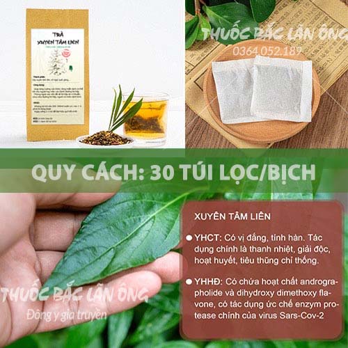 Trà xuyên tâm liên tăng cường sức đề kháng, bảo vệ hệ hô hấp - Thuốc Bắc Lãn Ông