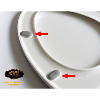 NẮP BỒN CẦU EUROLIFE EL-PS262