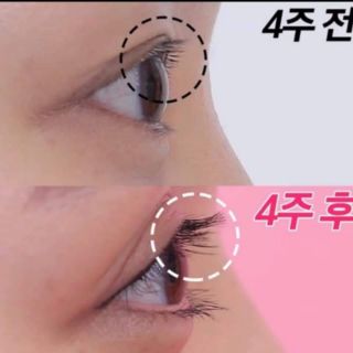 Ampoule dưỡng dài mi mắt Medilab