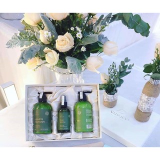 Combo Bộ Dầu Gội+Xả+Tinh Dầu Bưởi ViJully xịt dưỡng kích thích mọc ngăn rụng tóc