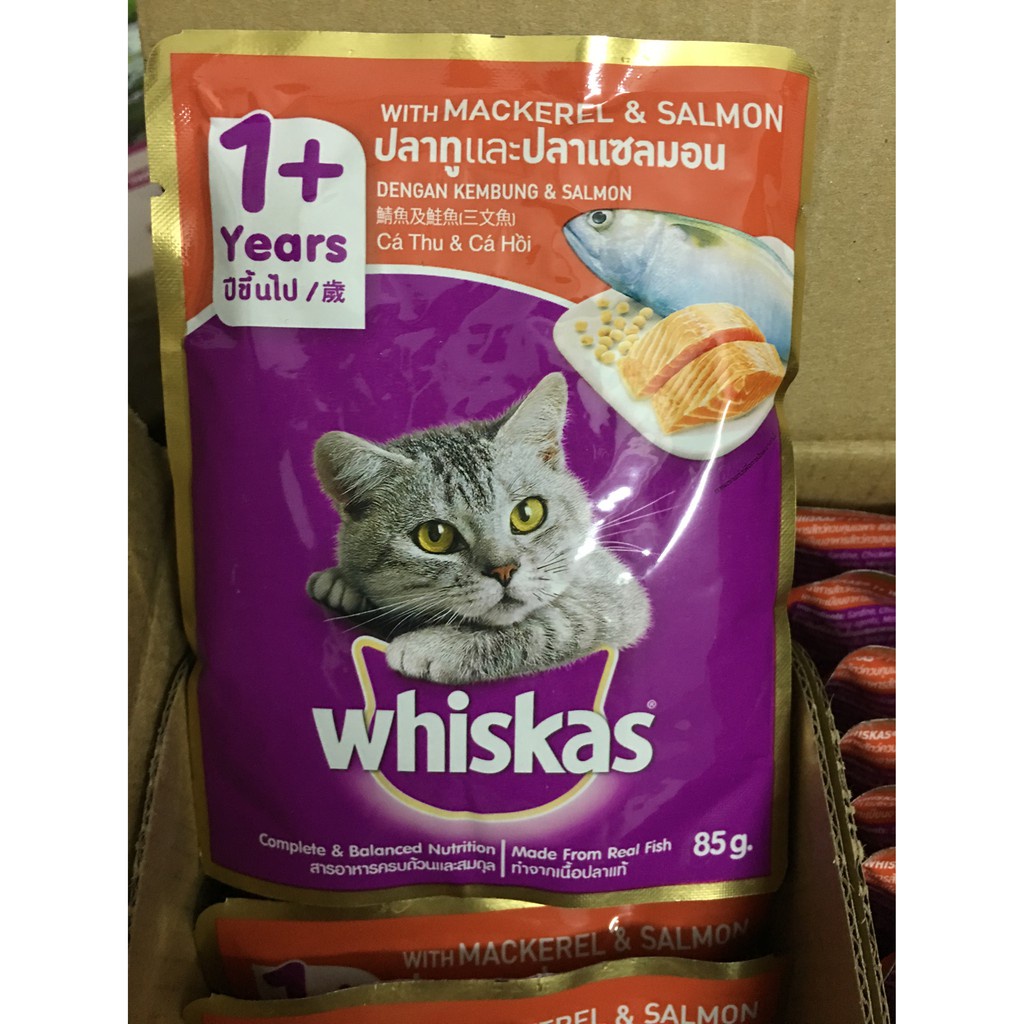 Pate Whiskas Pate Junior cho mèo lớn và nhỏ pate mèo gói 80g