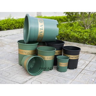 Chậu Monrovia VIỆT NAM 1GL