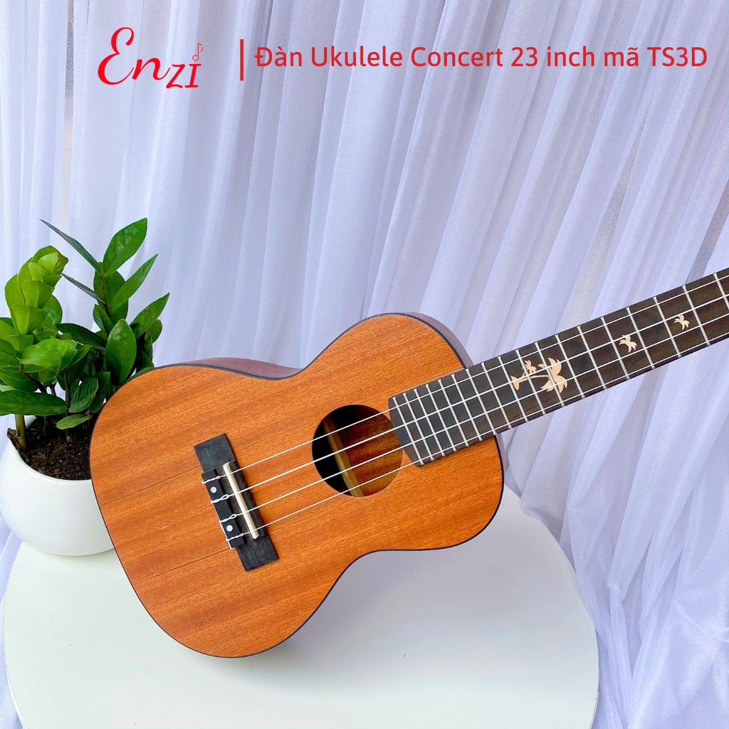 Đàn ukulele concert AS2D Enzi 23 inch gỗ mộc trơn khóa đúc giá rẻ cho bạn mới bắt đầu tập chơi