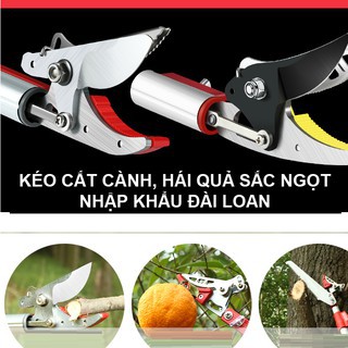 Kéo Cắt Cành Trên Cao 3 Đoạn Nhật Bản Dài 𝟯𝗠-𝟰𝗠-𝟱𝗠 ( Hái hoa quả, Tỉa cành, Cưa cây )