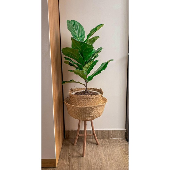 Ghế Đẩu Gỗ Tự Nhiên  Phong Cách Vintage