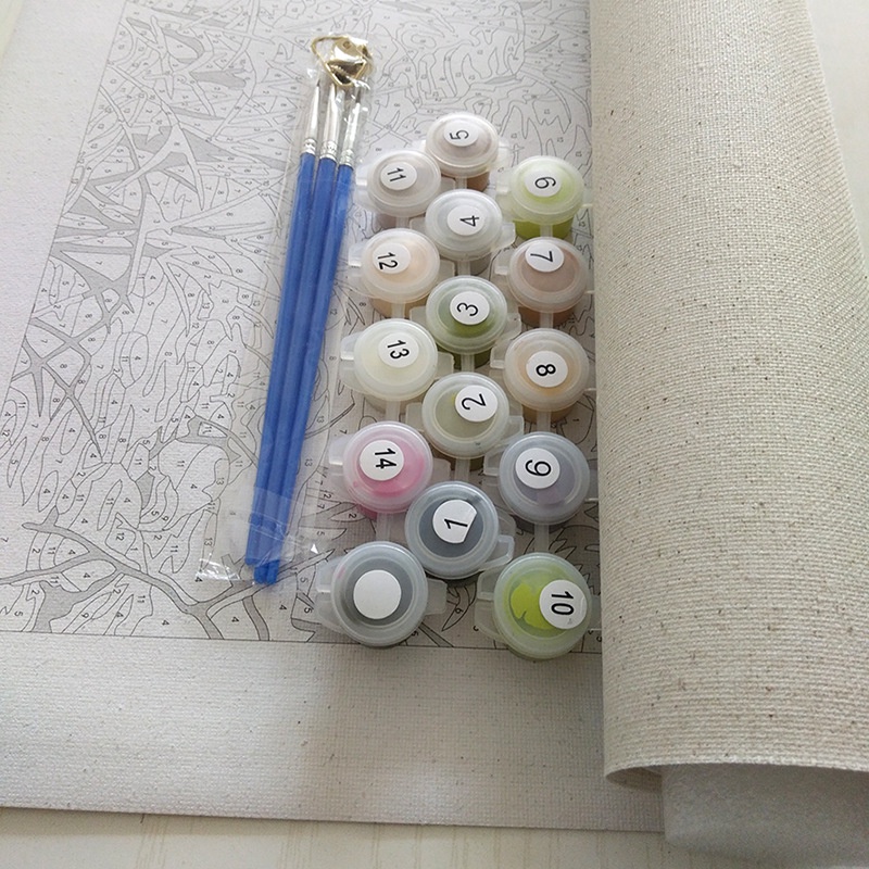 Tranh sơn dầu 40*50Cm tự làm hình hoa không khung