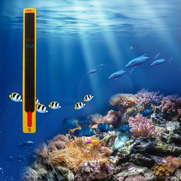 Nhiệt kế cảm biến LCD cho bể cá chất lượng cao