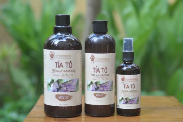 Hydrosol tía tô - Toner tía tô tươi  Dì Út