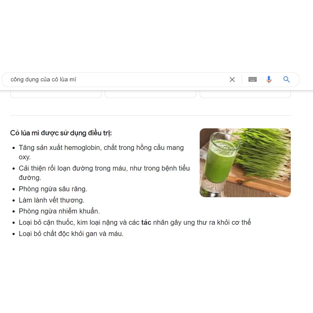 Cỏ lúa mì tươi trồng sẵn