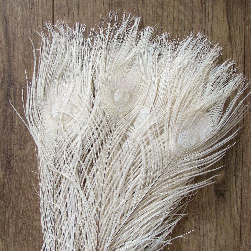 lông công trắng đẹp giá rẻ dài 70_80 cm | BigBuy360 - bigbuy360.vn