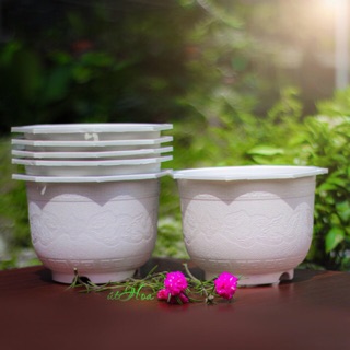 Chậu treo hình rồng (kèm dây treo)