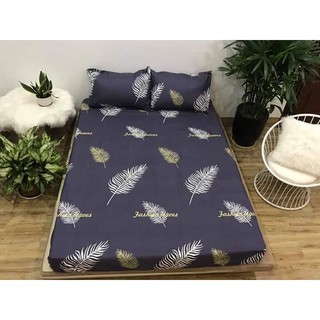 Ga chống thấm cotton m6-2m-10p