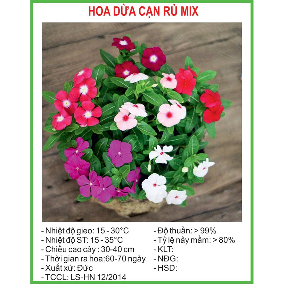 Hạt Giống Hoa dừa cạn rủ Mix 100 Hạt/ Gói goden seed