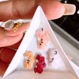 Hoa bột nailcuc ruby