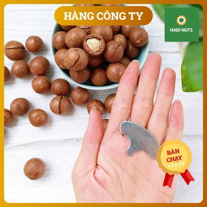 Macca Nứt Vỏ ( Mắc Ca) Cao Cấp, Hạt Macca Daklak Sấy Lạnh Nguyên Vỏ Tự Nhiên 450 gram,Freeship ( Tặng Kèm Lẫy Bóc Vỏ ) | BigBuy360 - bigbuy360.vn