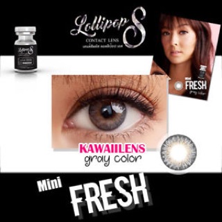 Lens xám Tây Hàn quốc