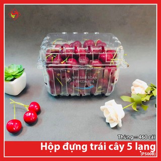 20c - Hộp đựng 0.5Kg Cherry P500B - Hộp đựng hoa quả nhập khẩu
