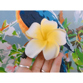 Kẹp tóc hoa đại trắng, kẹp tóc hoa đi biển