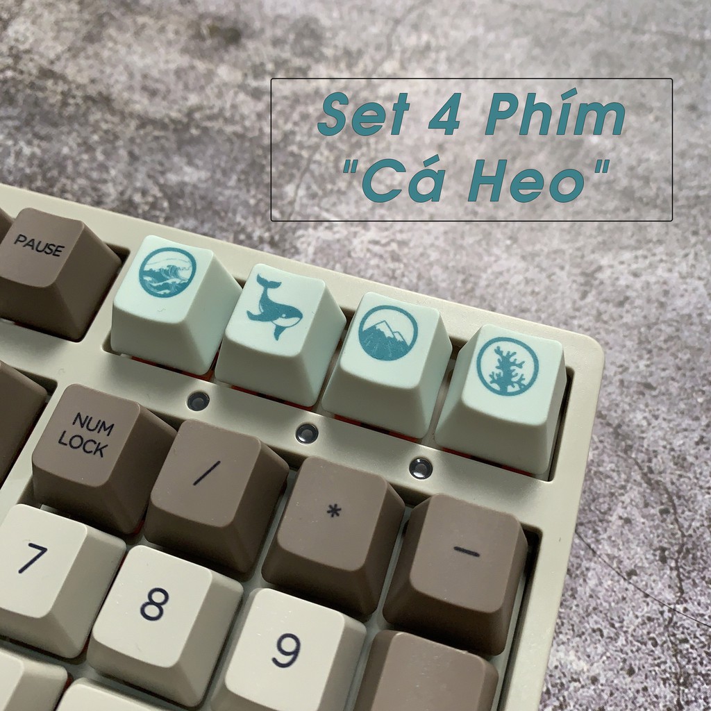 Key Cap Lẻ PBT Cho Bàn Phím Cơ Của EZPC