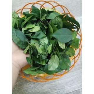 quochouse COMBO THẠCH GĂNG TƯƠI