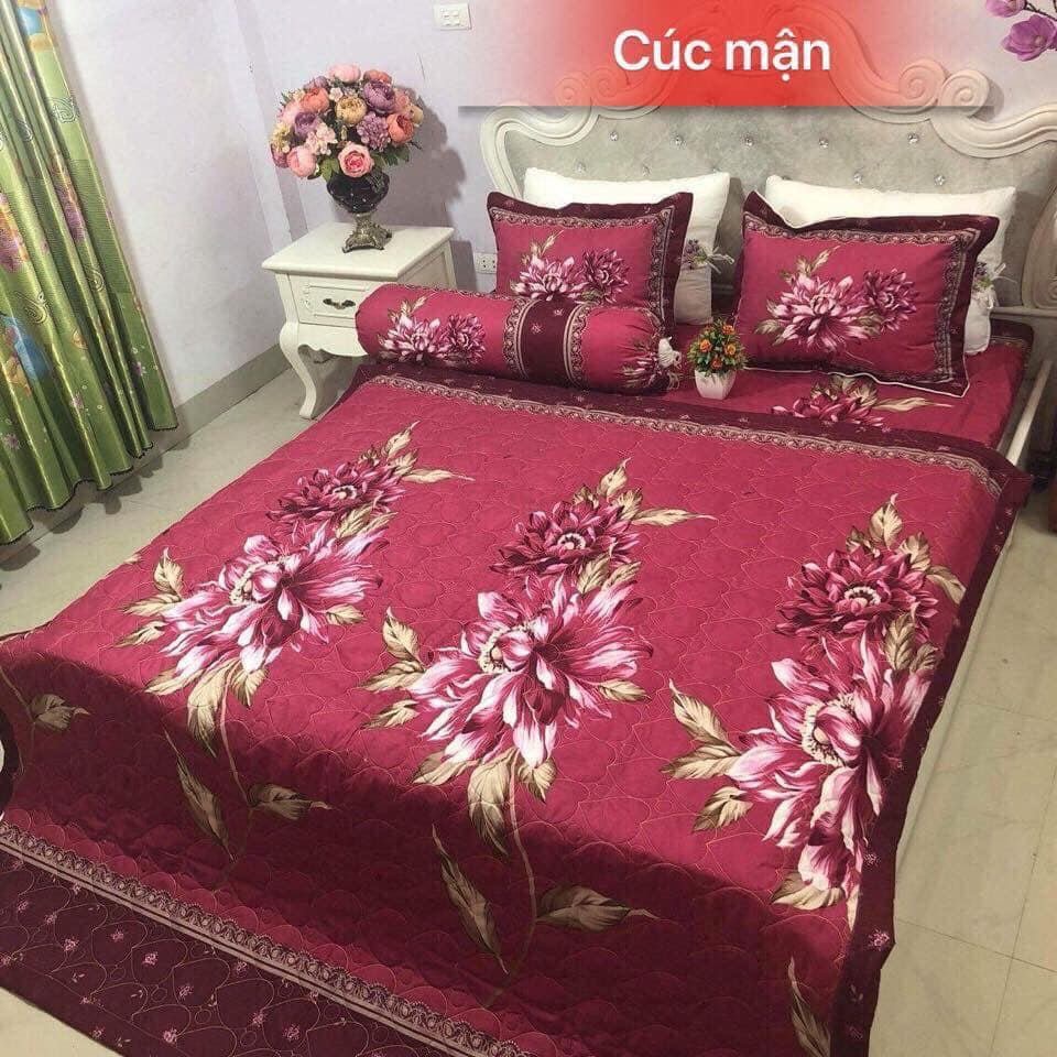 Sét Chăn Ga 5 Món Cotton Poly