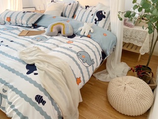 Chăn ga gối cotton poly - set 4 món