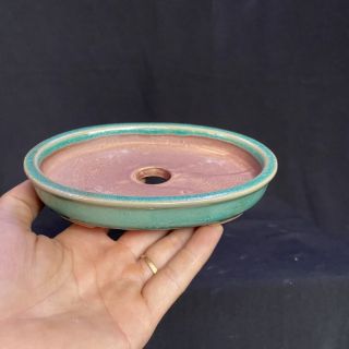 Chậu gốm bonsai Khay Oval
