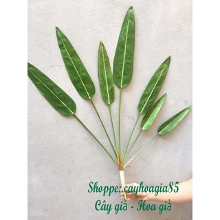 Cây giả _ Cây lá Rong