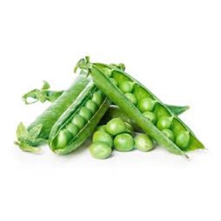 10gr hạt giống đậu hà lan