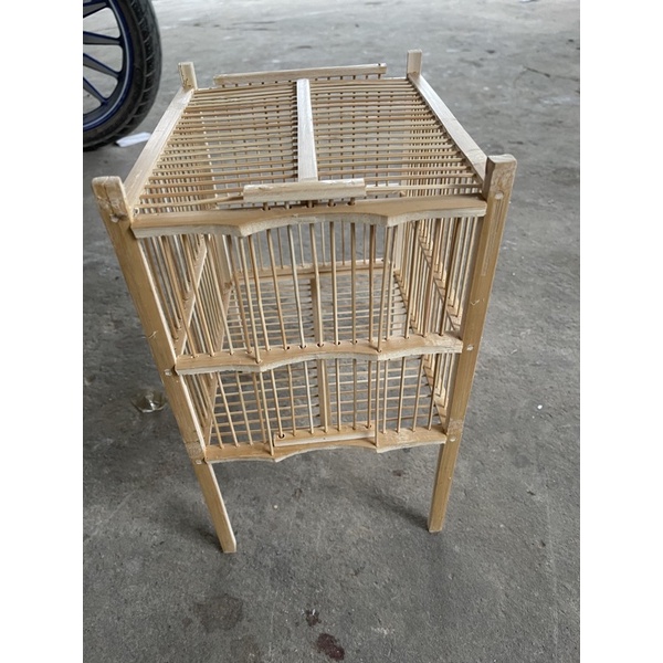 Lông tắm chim khuyên