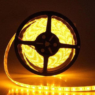 Cuộn Led dây dán trang trí phòng ngủ 5m 5050 không silicon 1 màu đơn