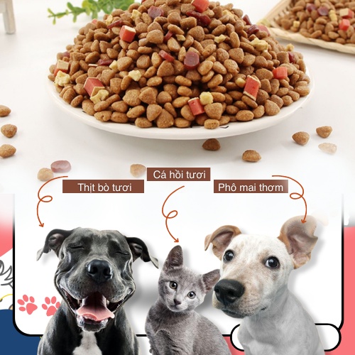 Hạt cho chó captain cho cún kén ăn, gầy gò - Bao 2.5kg Hạt cho chó mix thịt bò phô mai cá hồi, có túi chiết dùng thử