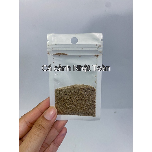 HẠT GIỐNG THỦY SINH NGƯU MAO CHIÊN HÀNG LÙN TỐT 10G