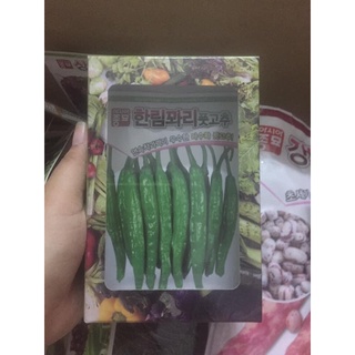 HẠT GIỐNG ỚT DƯA CHUỘT HÀN QUỐC