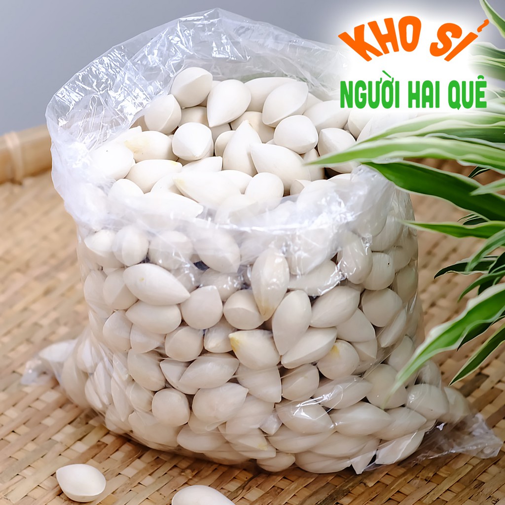 Bạch quả tươi (Ngân hạnh) SỈ LẺ 1kg/ 200g 💰 KHO SỈ NGƯỜI HAI QUÊ - HAIQUE FOODS