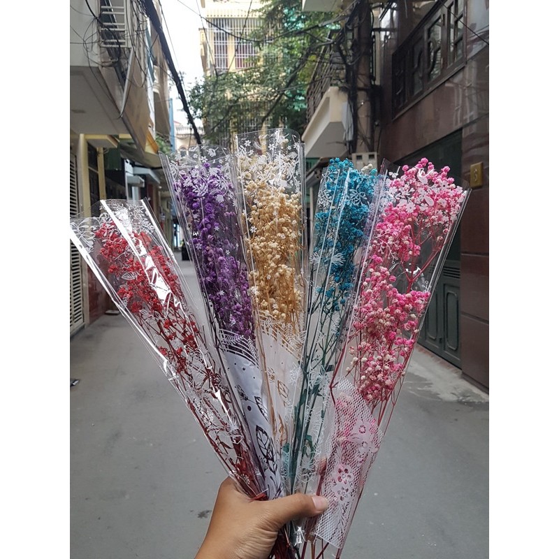 Gypsophila🌸Hoa Baby Khô🌸FREE SHIP🌸Trang trí nhà cửa, events siêu xinh