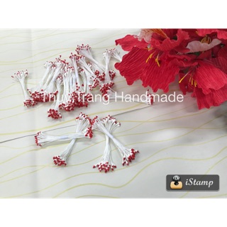 Nhuỵ bột 2 màu trắng đỏ