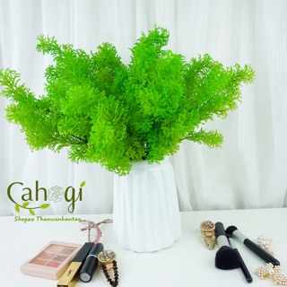 Cây Giả - Cành Rong La Hán