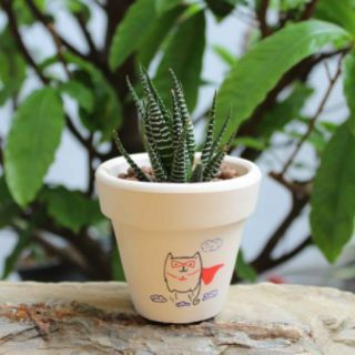 Chậu sen đá hình cute(chậu + sen đá)