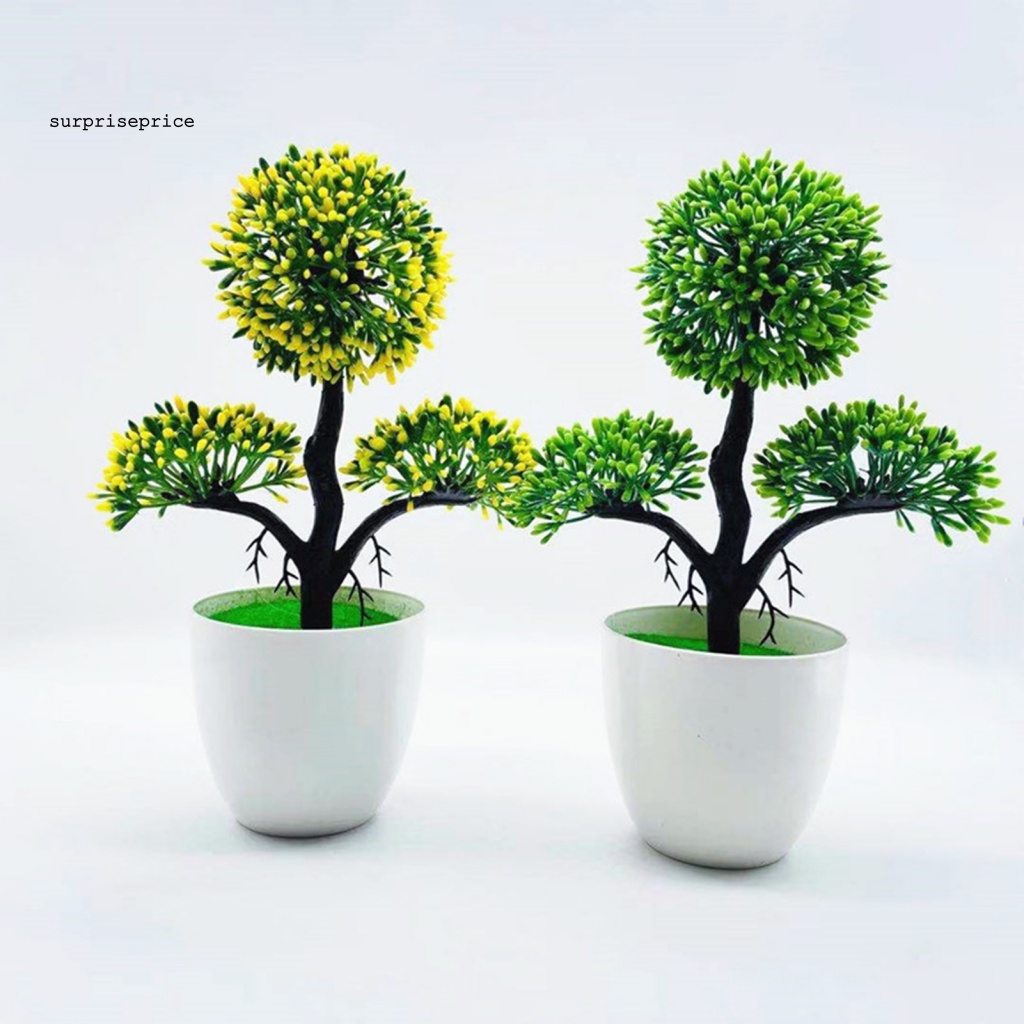 Chậu Cây Bonsai Giả Mini Trang Trí Nhà Cửa