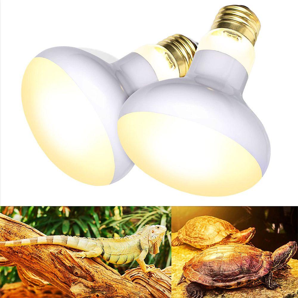 Bóng Đèn Trang Trí Chuồng Nuôi Bò Sát