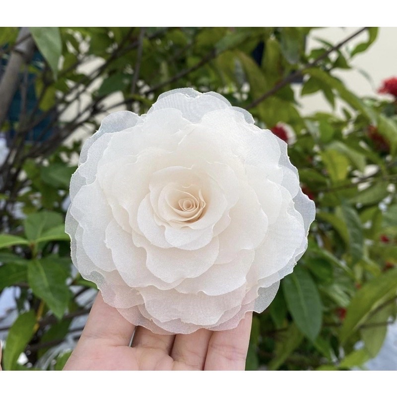 Hoa cài áo - Hoa hồng cài áo cánh đốt tự nhiên