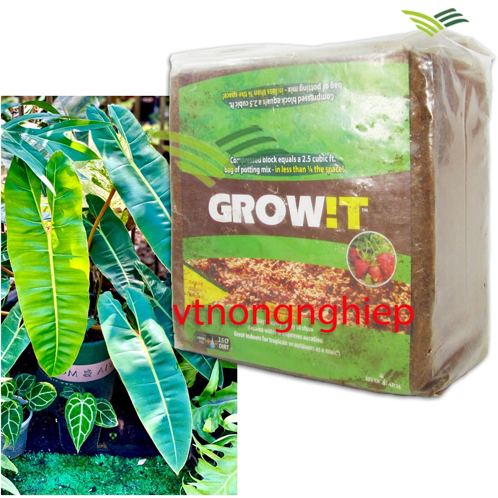 Xơ dừa bột GROW!T- Coco Coir Mix, mụn dừa ép khối, kiện 28x28x16.5cm, 4.5kg, dùng cho cây cảnh, cây hoa, rau mầm.