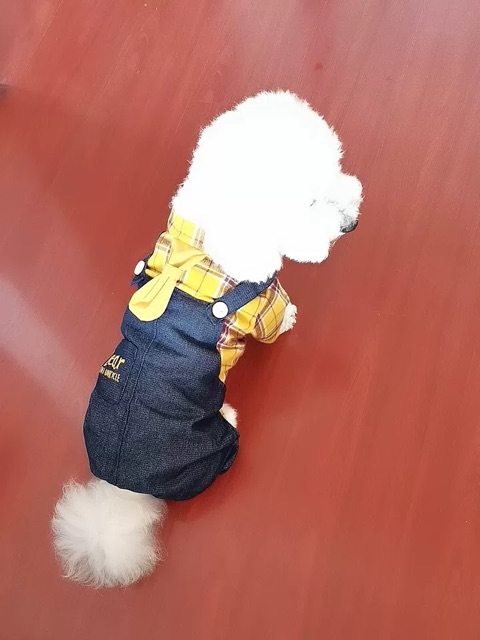 Combo quần áo cho chó mèo áo sơ mi caro vàng  ( tặng kèm túi đeo chéo da)