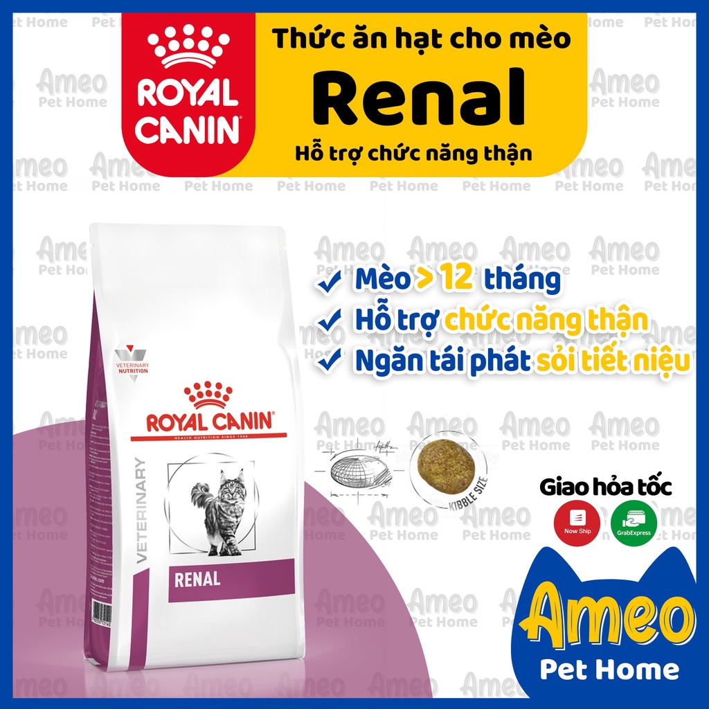 [Mẫu mới] Hạt Royal Canin Renal 2kg cho mèo bị thận | Thức ăn cho mèo bị bệnh thận Royal Canin Renal 400g