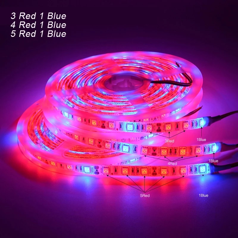 Dây Đèn LED 5M 60 Bóng Dùng Để Trồng Cây Trong Nhà Kính