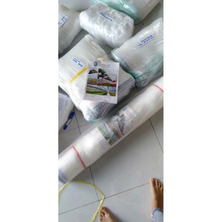 Túi bao mít cước thái (50x70cm) 50 túi