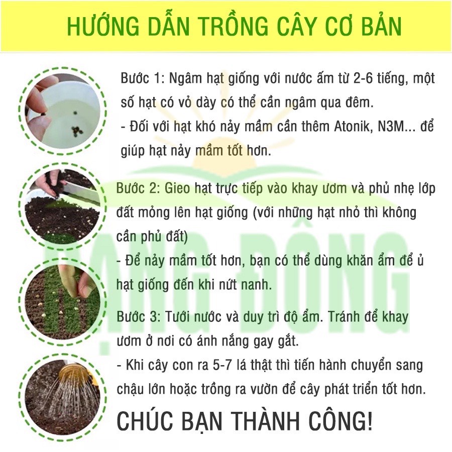 Hạt giống mướp đắng xanh (khổ qua) gói 10 hạt thuộc loại rau củ quả dễ trồng