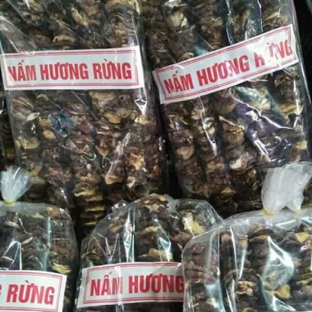 Nấm Hương Rừng Hà Giang